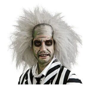 Beetlejuice Wig Halloween Costume Accessory Adult Teen 14+
